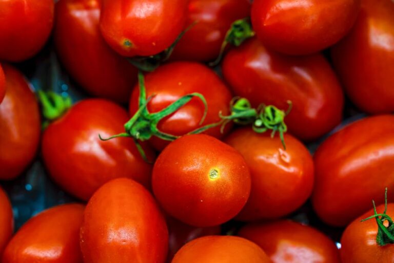 Como utilizar a técnica Pomodoro para aumentar sua eficiência em tarefas diárias
