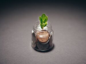Os melhores investimentos para um estilo de vida sustentável em 2023